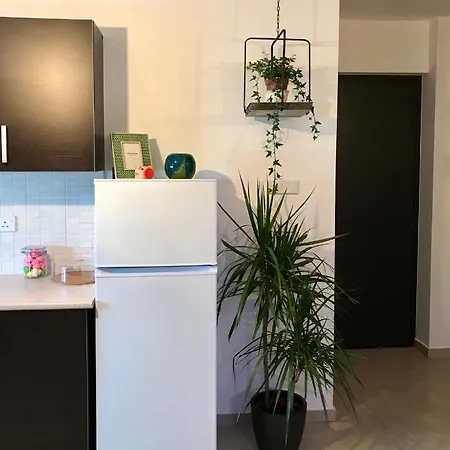 Fat Cow 101 Apartment Larnaca