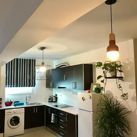 Fat Cow 101 * Lárnaka