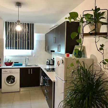 Fat Cow 101 Lárnaka