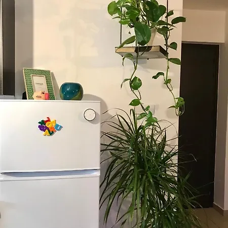 Apartamento Fat Cow 101 Larnaca