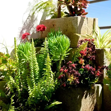 Fat Cow 101 * Ларнака