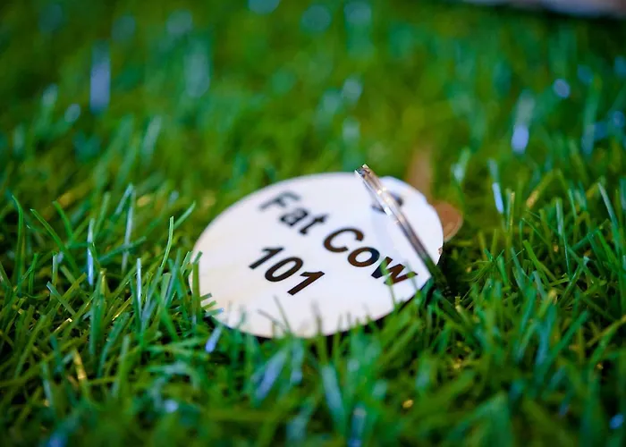 Fat Cow 101 Appartement *