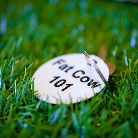 Fat Cow 101 Апартаменти *