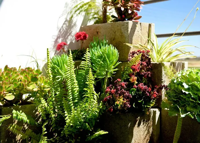 Fat Cow 101 * Ларнака